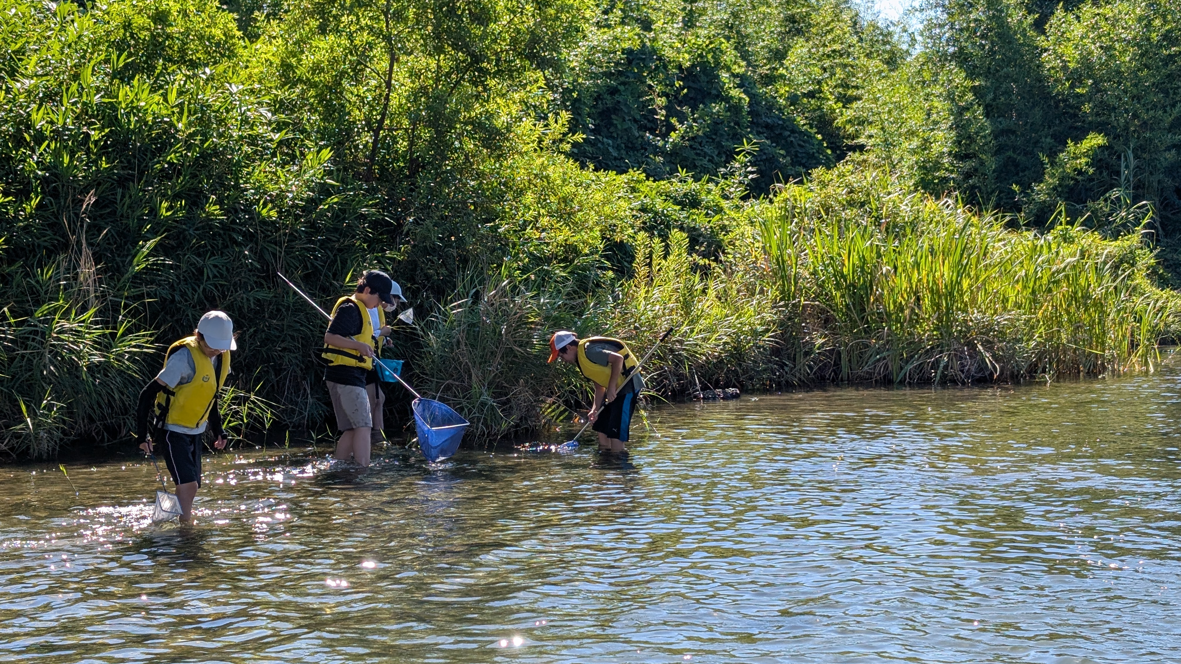 PXL_20250722_063259353