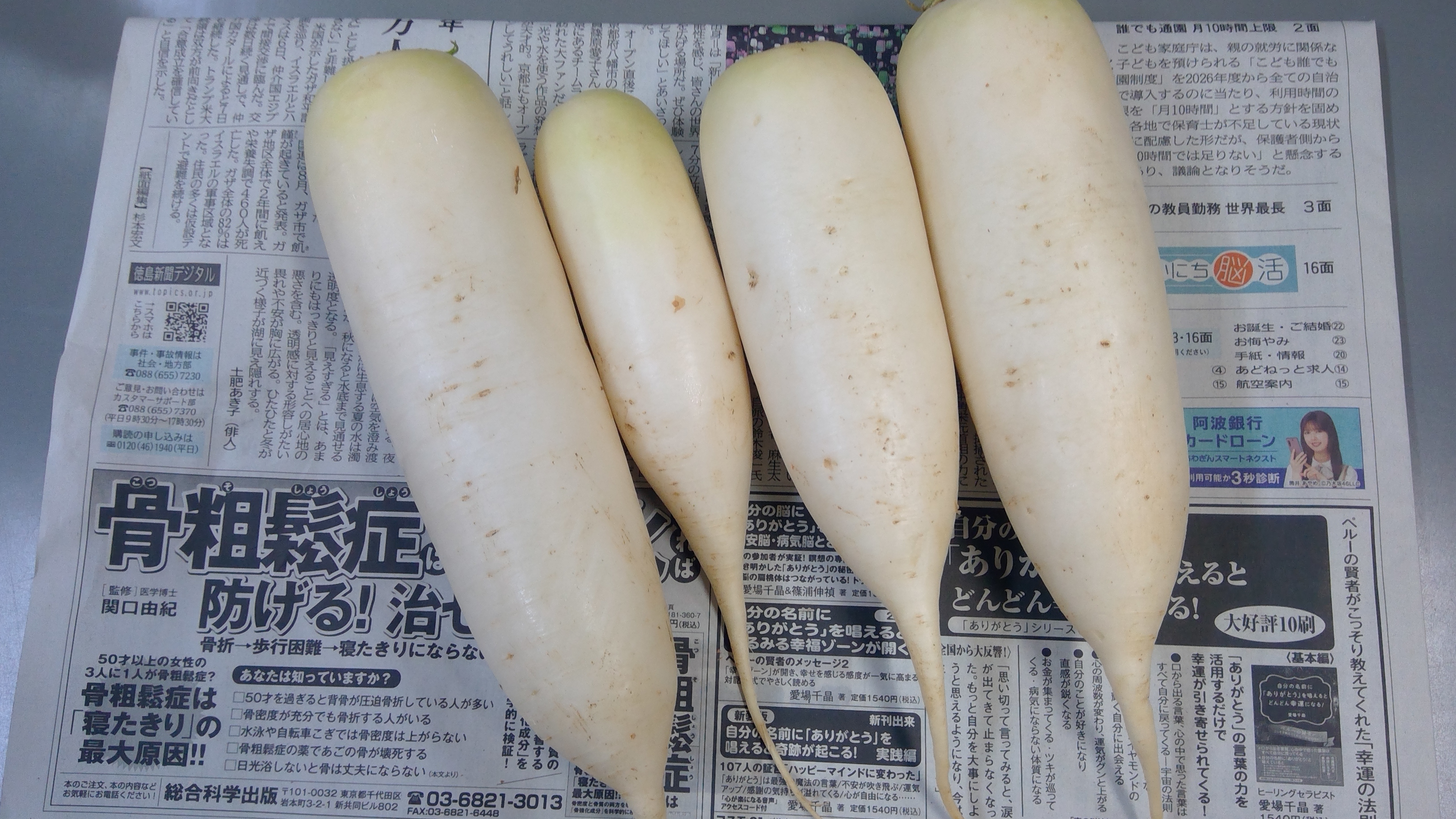 WIN_20251114_17_00_46_Pro