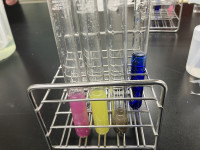 IMG_1187